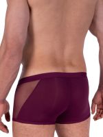 MANSTORE M2315: Micro Pant, burgundy