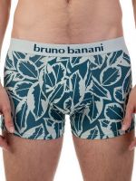 Bruno Banani Calathea: Short 2er Pack, gletscherblau/wasserblau